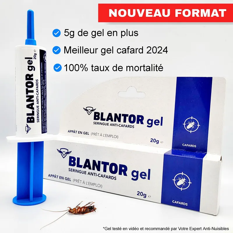 Gel anti-cafards